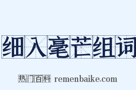 细入毫芒组词是什么意思的图片